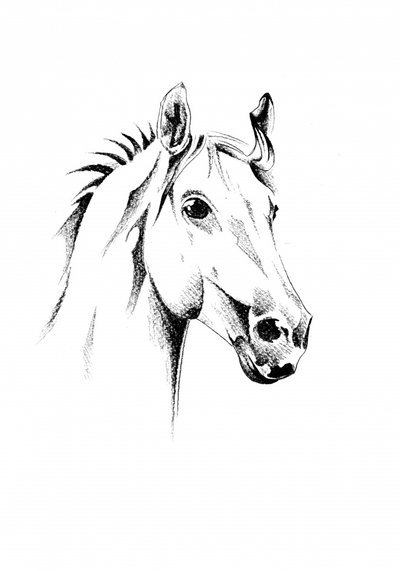  av Kulik