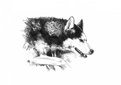  av Kulik