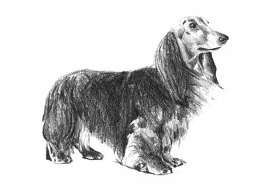  av Kulik