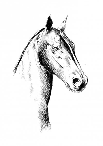  av Kulik