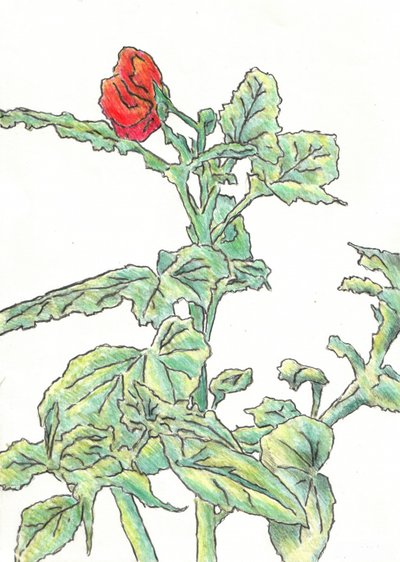  av Kulik