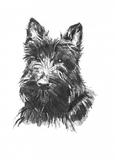  av Kulik