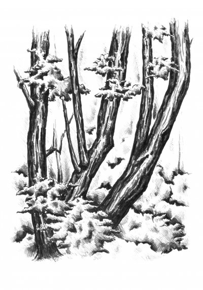  av Kulik