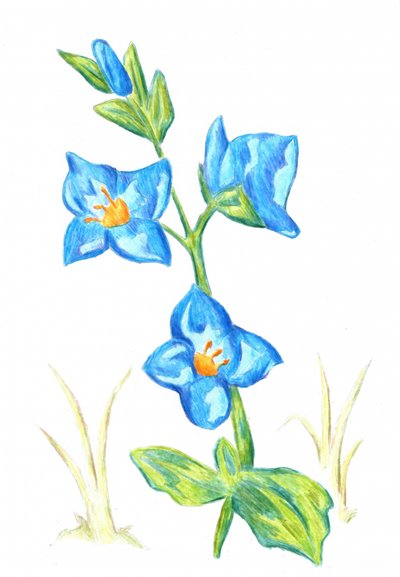  av Kulik