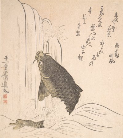Karpe prøver å svømme opp en foss, sannsynligvis 1820. av Kurokawa Michita
