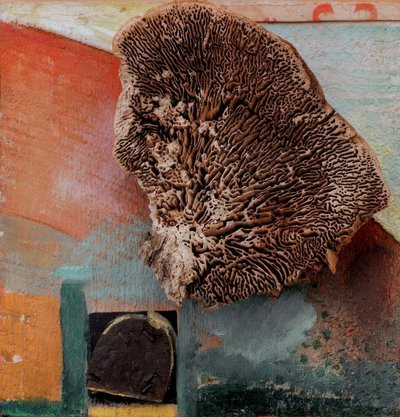 Uten tittel (Merz-bilde med koraller) av Kurt Schwitters