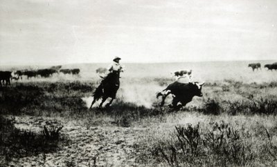 Cowboy på hesteryggen som lasser en kalv (bw-bilde) av L.A. Huffman