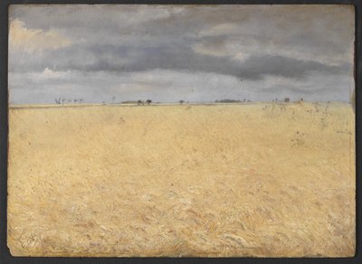 Et rugfelt nær Ring Village av Laurits Andersen Ring