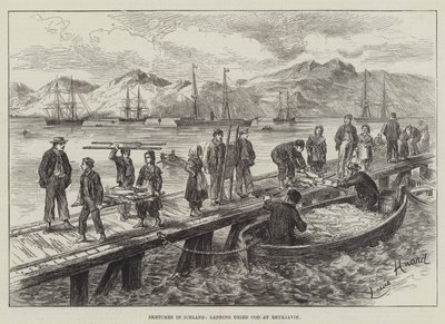 Skisser på Island, landing av tørket torsk i Reykjavik av L. Huard
