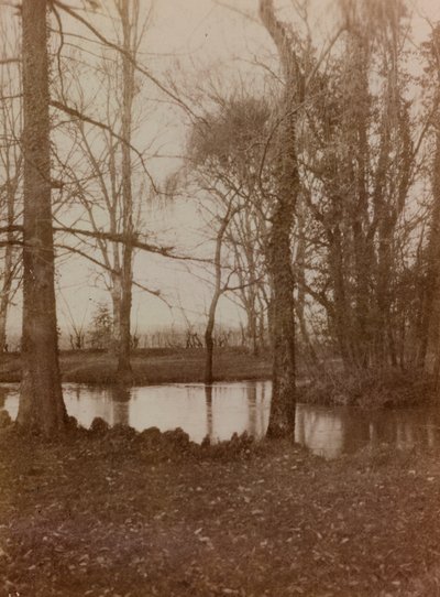 Album fra første verdenskrig i Friuli-Venezia Giulia: dammen i parken til Villa Brazza, krigssykehuset n. 17, Soleschiano Manzano av L. Verdiani