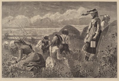 Å samle bær av Lagarde after Winslow Homer