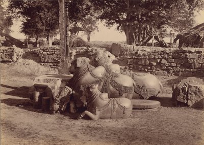  av Lala Deen Dayal