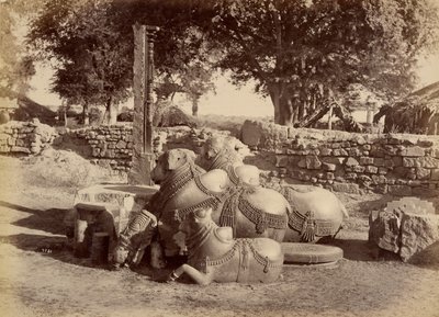  av Lala Deen Dayal