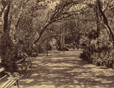 Sukh-Vilas Palace Garden, 1880-90. av Lala Deen Dayal