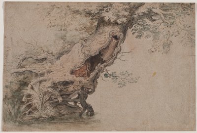 Hollow Tree, etter Roelant Savery av Lambert Doomer