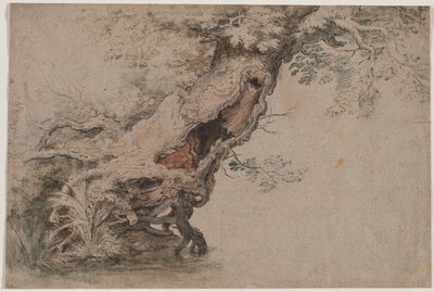Hollow Tree, etter Roelant Savery, etter 1670. av Lambert Doomer