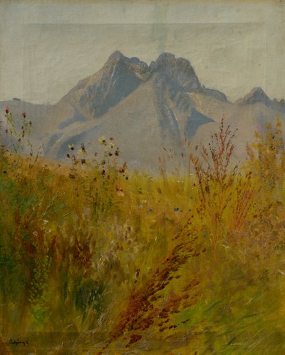 Lomnicky Peak av Laszlo Mednyanszky