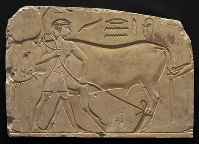 Menn som fester en okse, 667-647 f.Kr av Late Period Egyptian