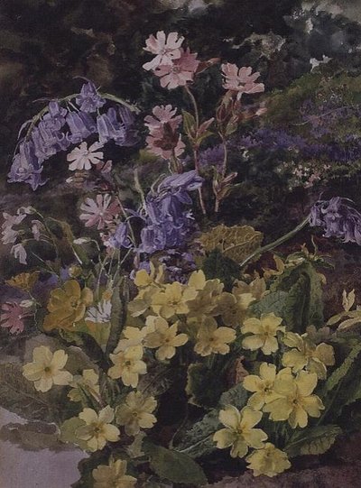 Studie av blomster av Laura Darcy Strutt