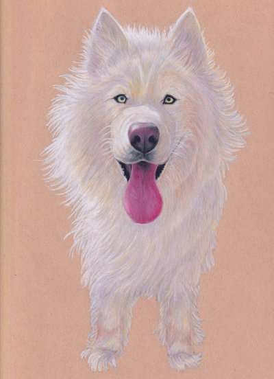 Snowky, 2021 (fargeblyant på tonet papir) av Laurie Michaels