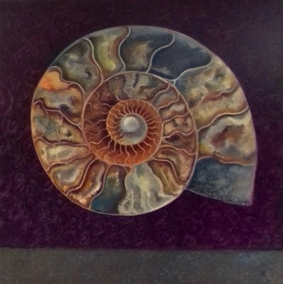 Ammonite, Magenta, 2021 av Lee Campbell