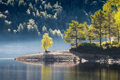 Druidens hvile, 2024 (bilde) av Lee Cooper