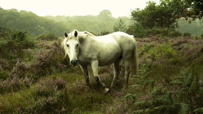 I mørket, 2023 (bilde) av Lee Cooper