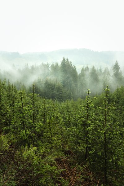 Vårdybder, 2024 (bilde) av Lee Cooper