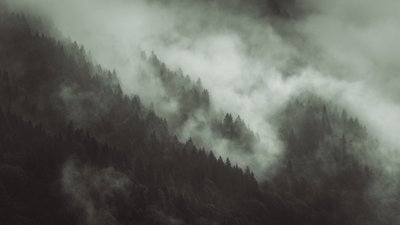 Flokete, 2022 (bilde) av Lee Cooper