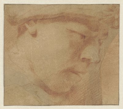 Hodet til en gutt, til høyre av Leendert van der Cooghen (manner of)