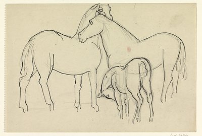 To hester og et føll av Leo Gestel