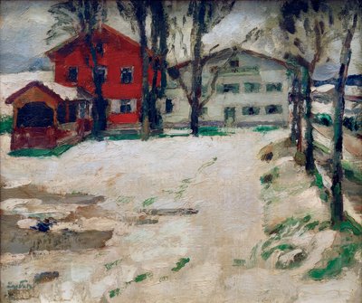 Inn i snøen av Leo Putz