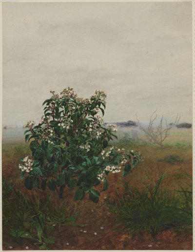  av Léon Bonvin