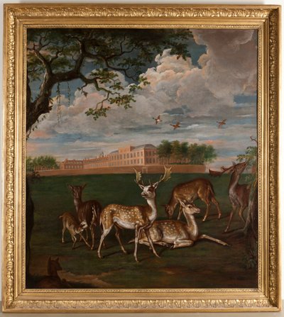 Dåhjort i Hyde Park av Leonard (style of) Knyff
