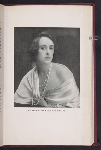 «Orlando på vei tilbake til England» fra Orlando: En biografi av Virginia Woolf av Leonard George aka Lenare Green