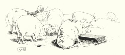En langhalegris, eller en korthalegris (gravering) av Leonard Leslie Brooke