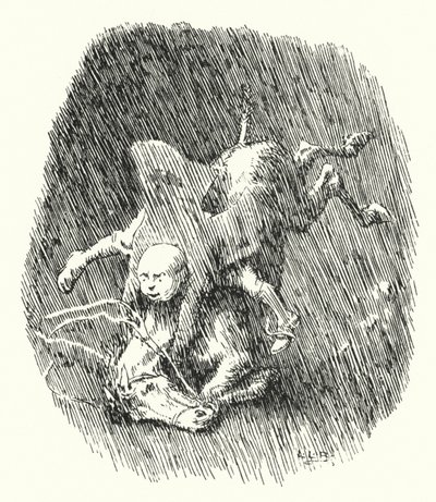 John Cook hadde en liten grå hoppe (gravering) av Leonard Leslie Brooke