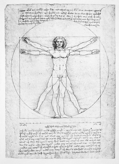 Proporsjonene til den menneskelige figuren (etter Vitruvius), ca. 1492 (faksimile) av Leonardo da (after) Vinci
