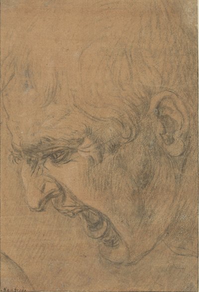 Hodet til en skrikende mann av Leonardo da Vinci (follower of)