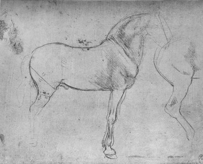 En hest i profil til høyre og dens bakparti, c1480 1945 av Leonardo da Vinci