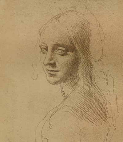 Et kvinnelig hode, c1472-c1519 1883, av Leonardo da Vinci