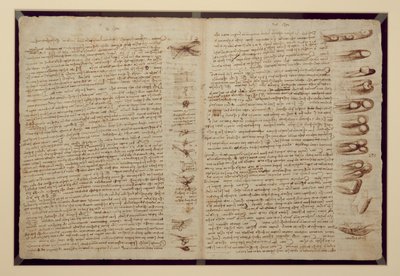 En side fra Codex Leicester, 1508-12 (sepia blekk på linpapir) av Leonardo da Vinci