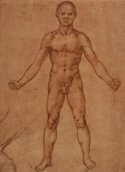 Nakenstudie av en stående mann, frontal av Leonardo da Vinci