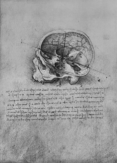 Anatomisk tegning av en hodeskalle til venstre, c1480 1945 av Leonardo da Vinci