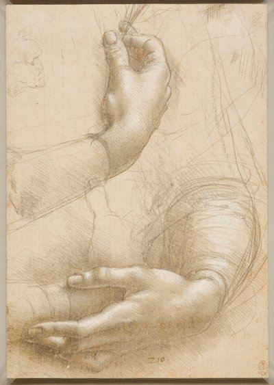 Armer og kvinnelige hender, ca. 1480. av Leonardo da Vinci