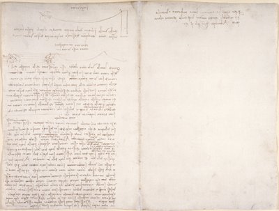Arundel 263, f.166v, f.163 Notater og diagrammer om fuglenes flukt, fra 