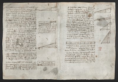 Arundel 263, f.246v Tegninger på de mekaniske kreftene og kreftene, perkusjon, gravitasjon, bevegelse, optikk og astronomi, med ulike aritmetiske og geometriske forslag, illustrasjon fra Leonardos 