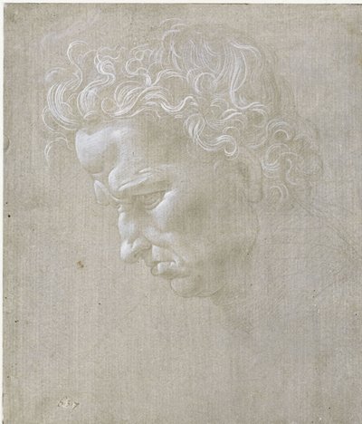 av Leonardo da Vinci