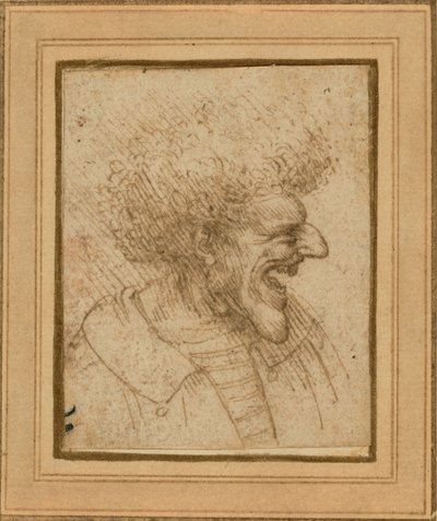  av Leonardo da Vinci