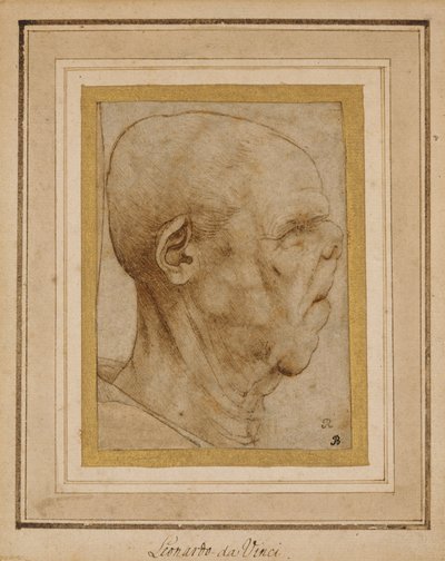 Karikatur av hodet til en gammel mann, i profil til høyre, ca. 1507 av Leonardo da Vinci